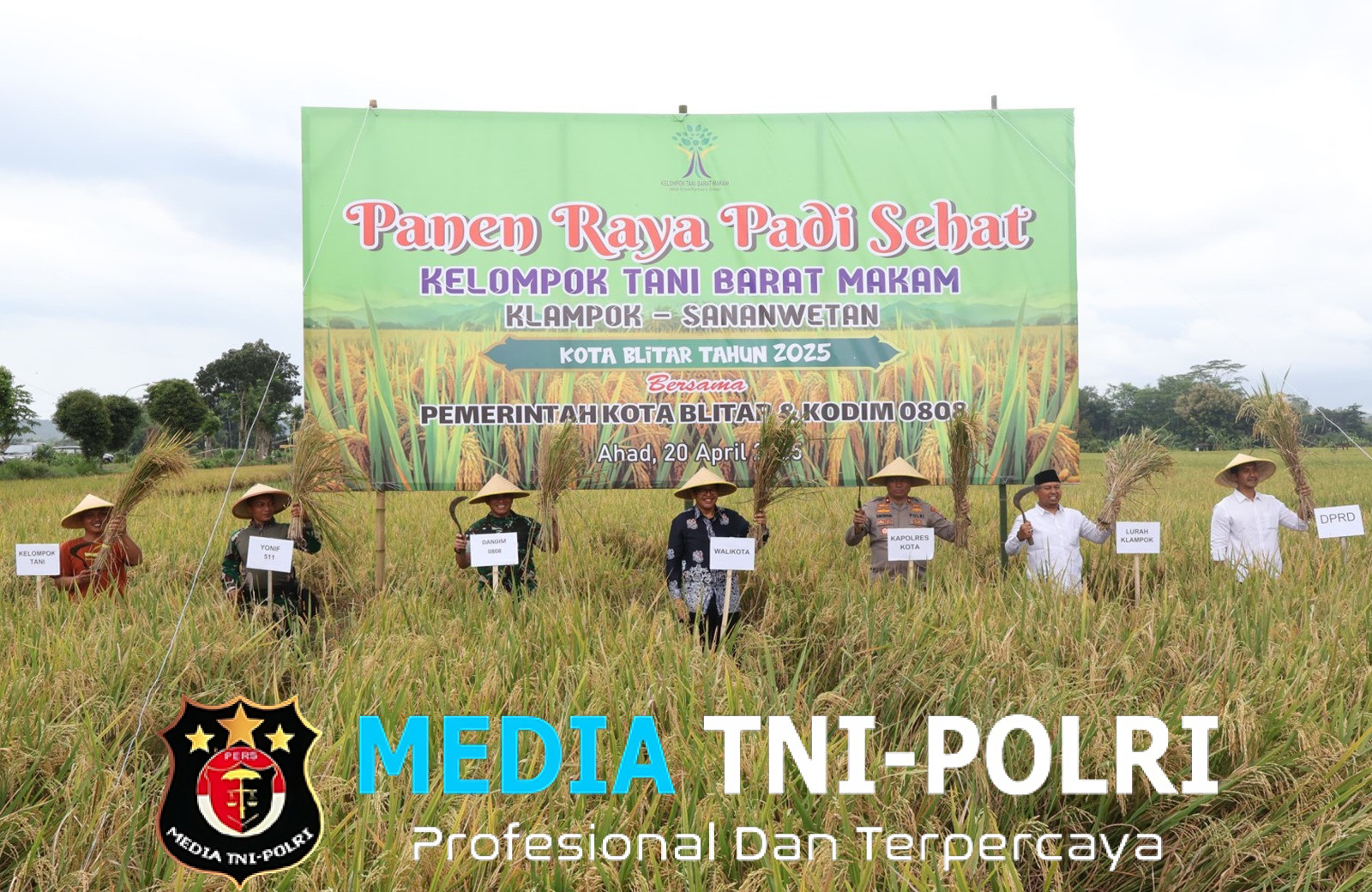 Semangat Gapoktan dan Warga Kelurahan Klampok Rayakan Panen Padi Bersama Forkopimda Kota Blitar