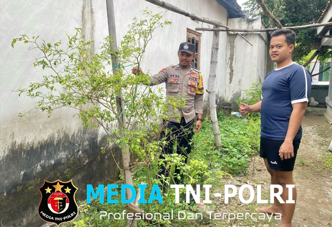 Pantau Tanaman Cabai, Polsek Loceret Dukung Ketahanan Pangan Warga