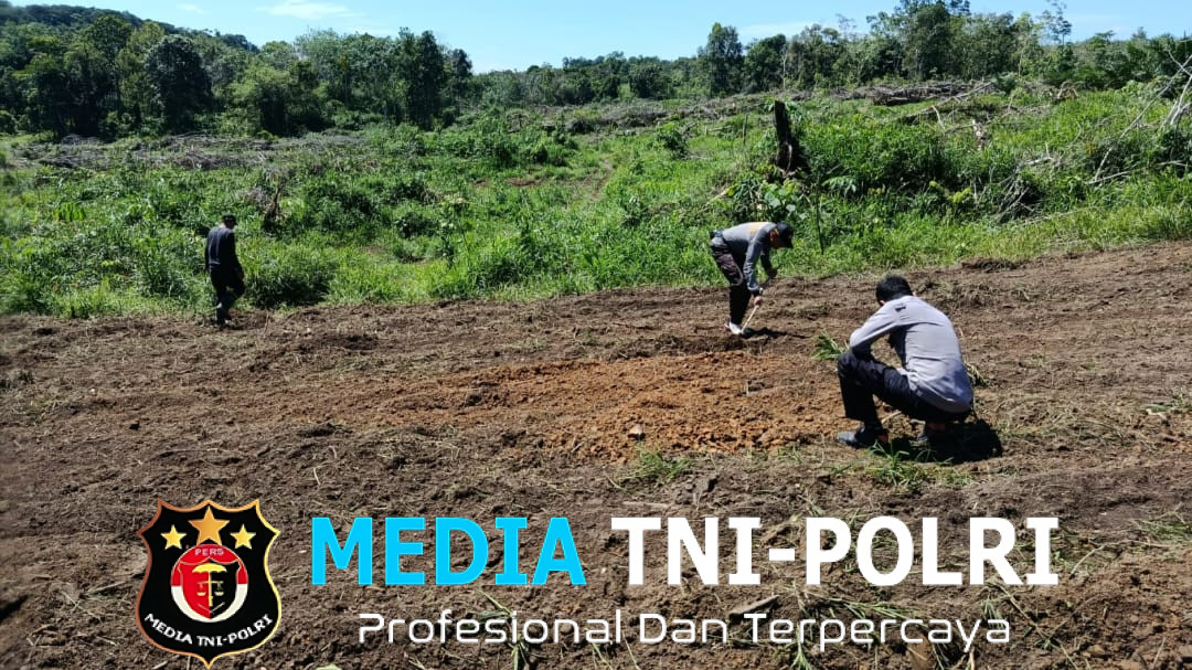 Polsek Menjalin Pantau Persiapan Lahan dan Penanaman Benih Jagung