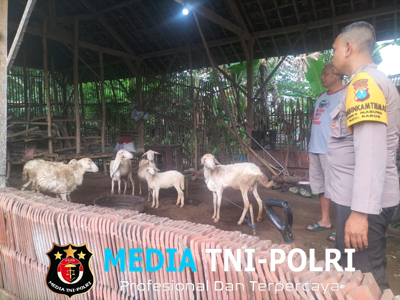 Pemantauan Ternak Dukung Ketahanan Pangan di Mabung