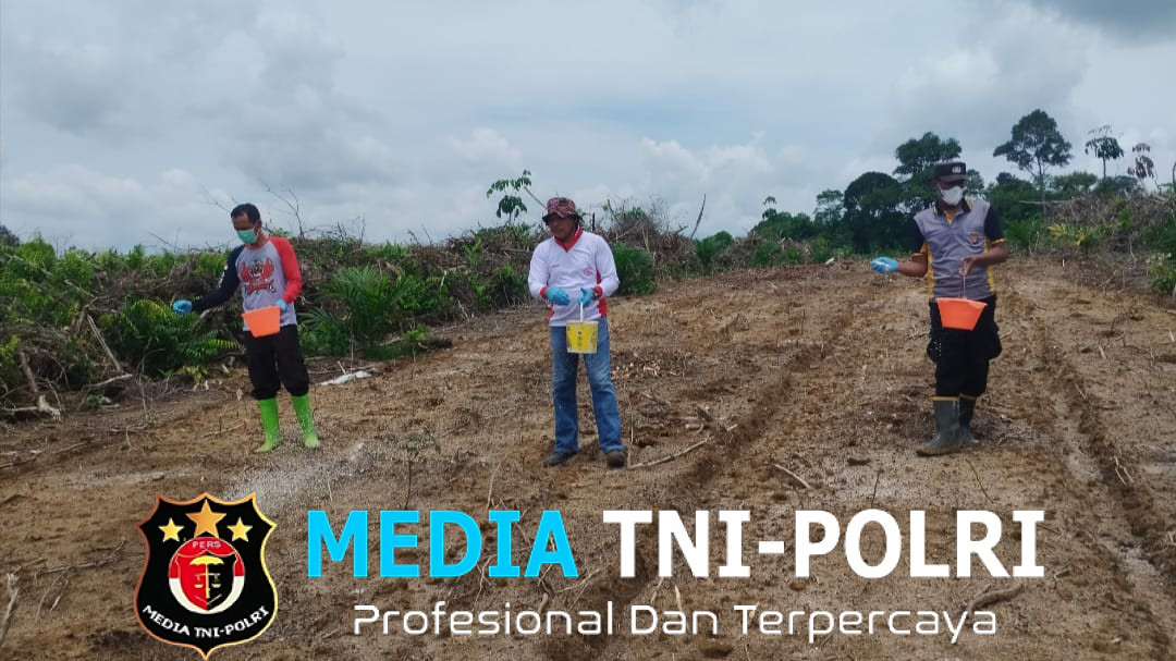 Polsek Mandor Gencar olah Lahan Percontohan Penanaman Jagung