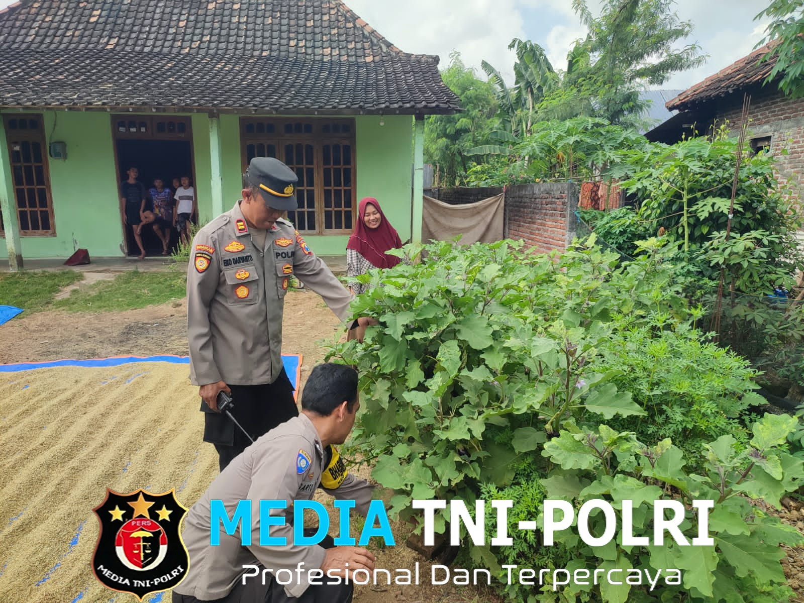 Dukung Ketahanan Pangan, Bhabinkamtibmas Polsek Sukomoro Bina Lahan Terong di Pekarangan Warga