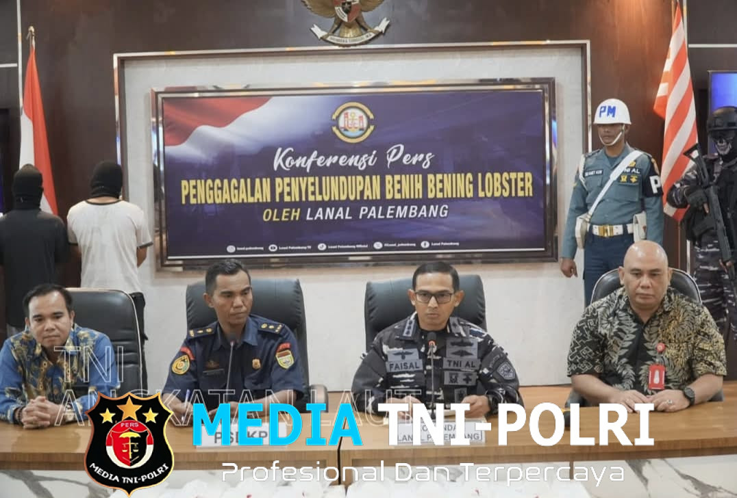 Rugikan Negara Sebesar Rp. 54 Milyar, Penyelundupan 360.000 Benih Lobster Berhasil Digagalkan TNI AL di Muara Betara Jambi