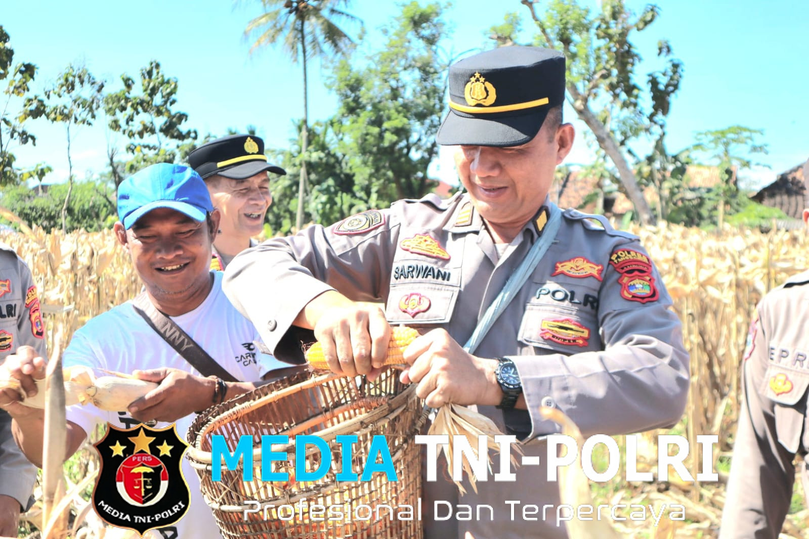 Dipimpin Kabag SDM, Polres Tanggamus Panen 10 Ton Jagung di Pulau Panggung, Tingkatkan Ketahanan Pangan