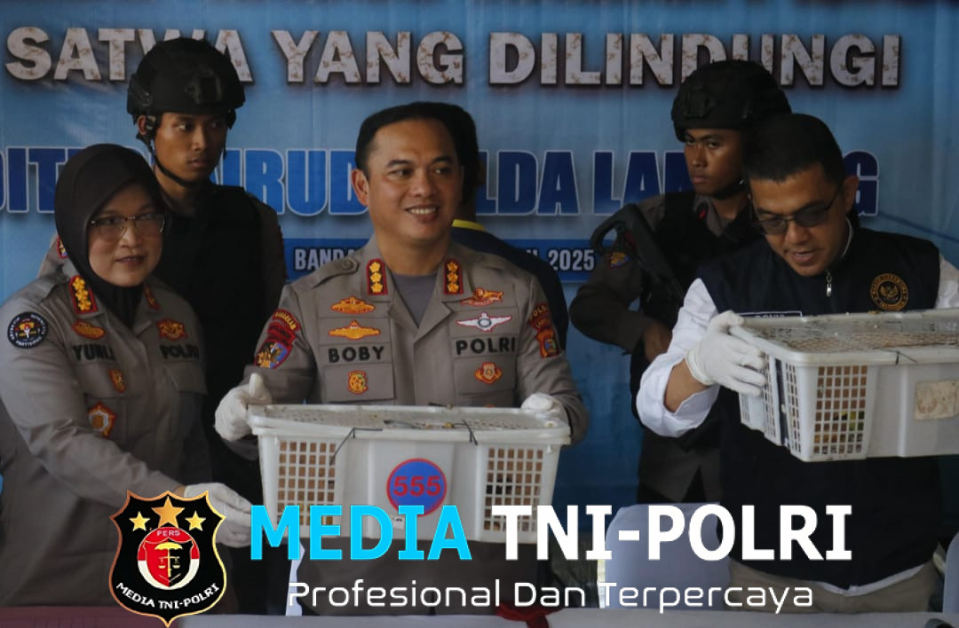Ratusan Burung Ilegal Gagal Diselundupkan, Truk Diamankan di Pelabuhan Bakauheni
