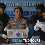 Ratusan Burung Ilegal Gagal Diselundupkan, Truk Diamankan di Pelabuhan Bakauheni