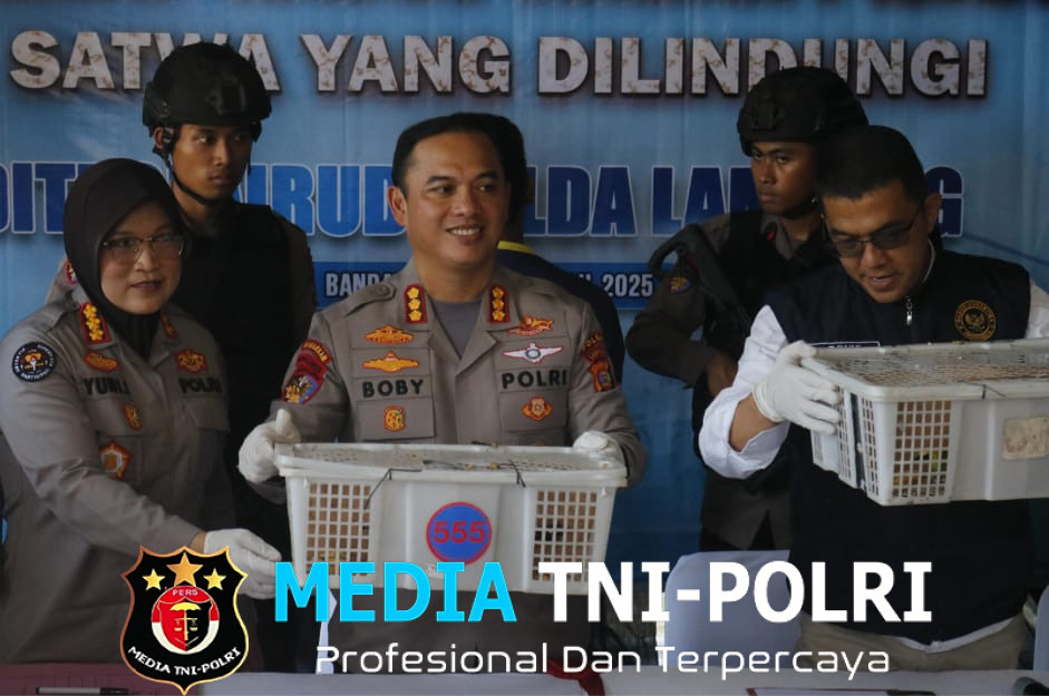 Ratusan Burung Ilegal Gagal Diselundupkan, Truk Diamankan di Pelabuhan Bakauheni