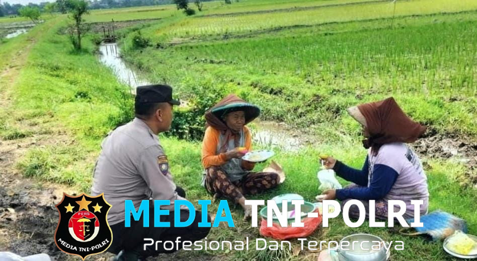 Bhabinkamtibmas Kampungbaru Sapa Warganya di Sawah, Ajak Dukung Ketahanan Pangan