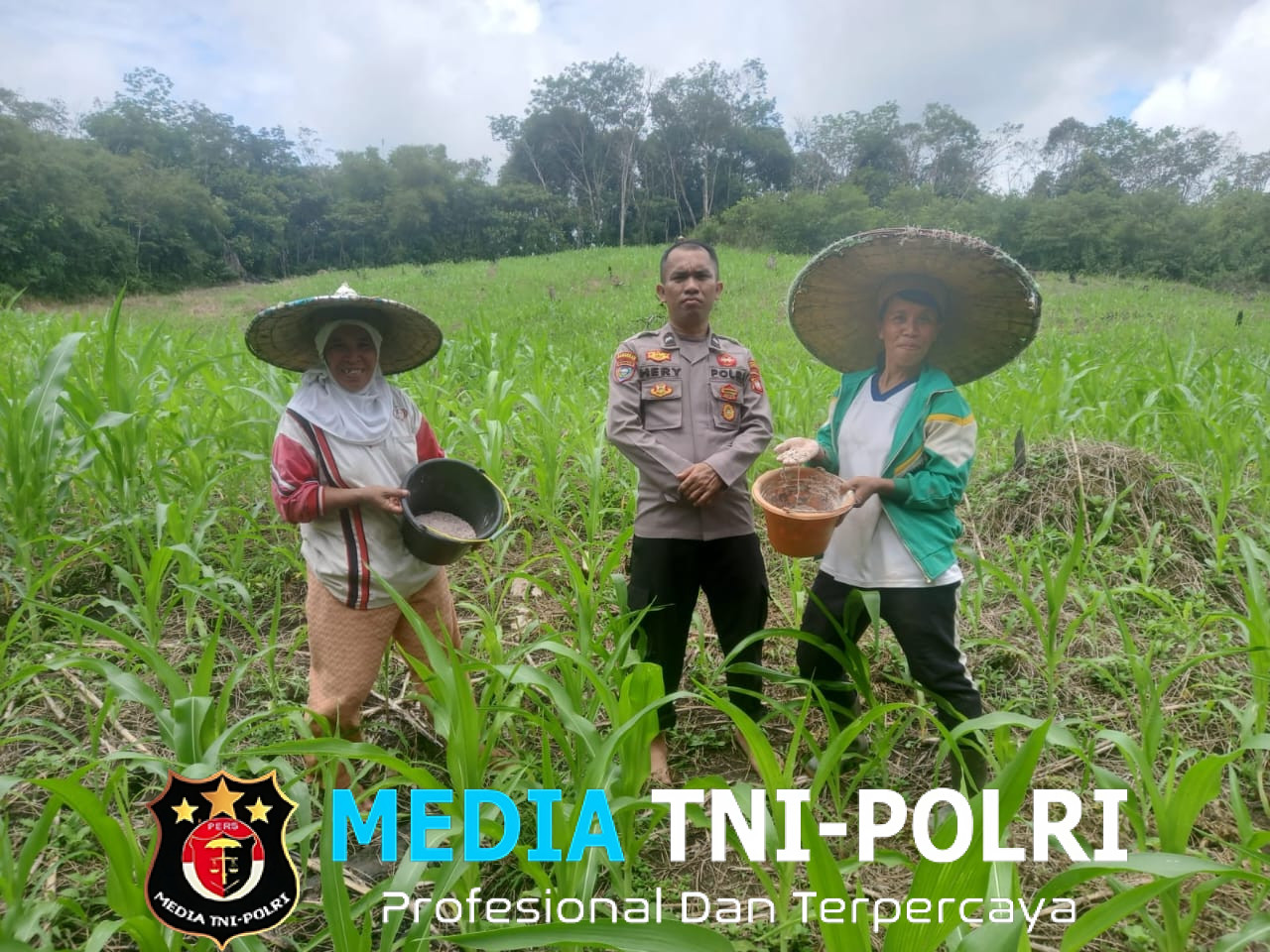 Bintara Pengerak Progres Cek Perkembangan Tanaman Jagung