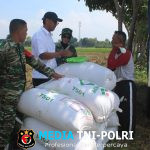 Babinsa Boyolali Jembatani Antara Petani dan Bulog Terkait Hasil Panen