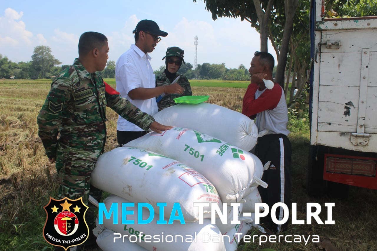 Babinsa Boyolali Jembatani Antara Petani dan Bulog Terkait Hasil Panen