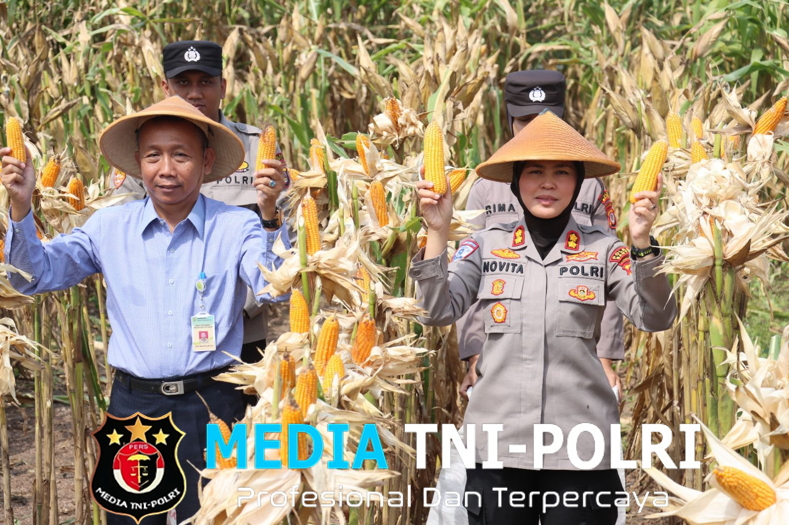 Keberhasilan Program Ketahanan Pangan Nasional Sinergi Kolaboratif Menuju Swasembada Jagung 2025