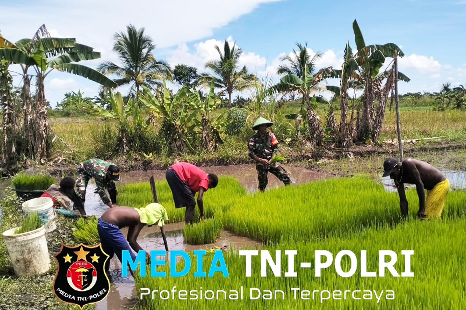 Semangat Babinsa Kimaam, Bantu Petani Wujudkan Swasembada Pangan