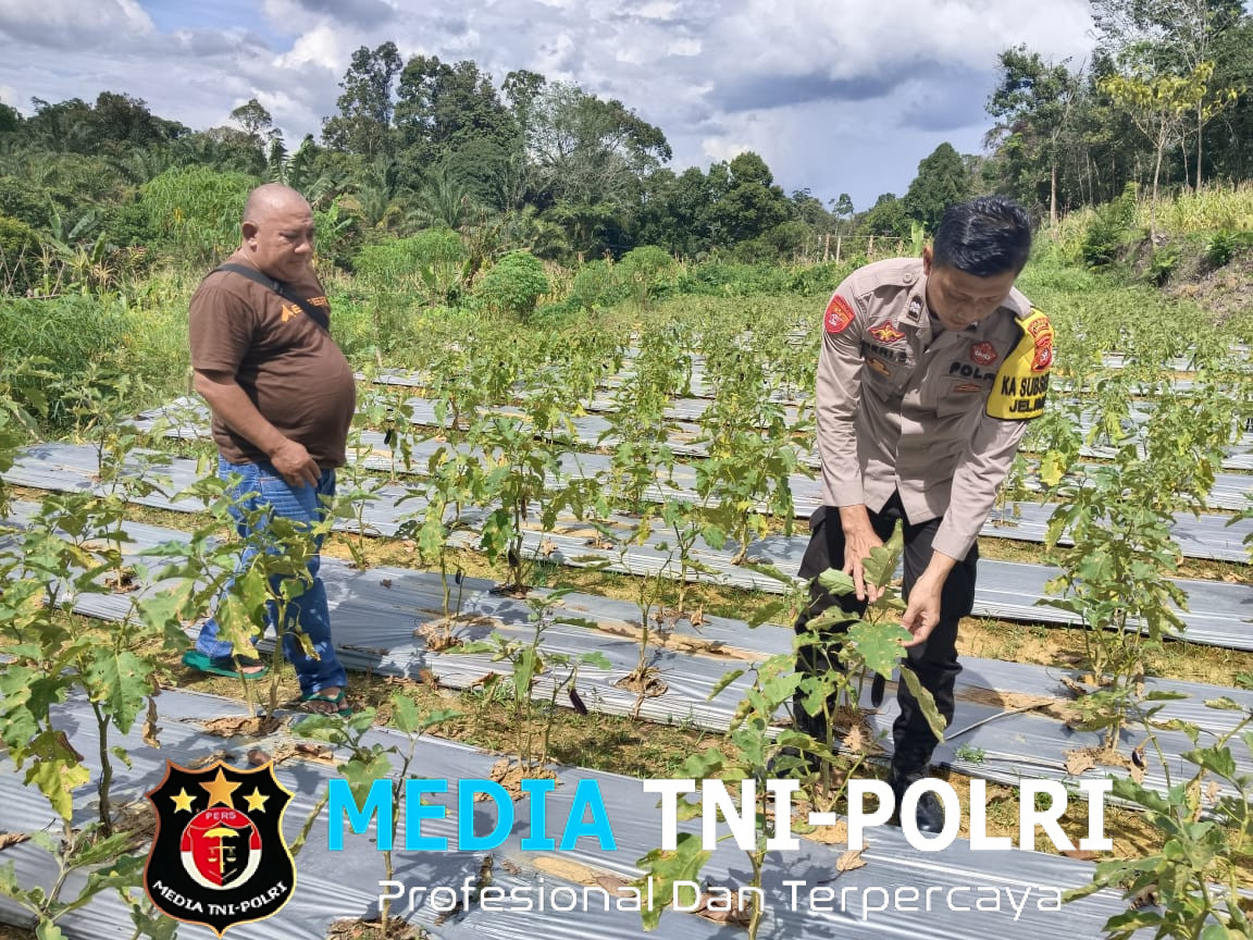 Mendukung Ketahanan Pangan Bintara Penggerak Desa Jelimpo Cek Pekarangan Pangan Bergizi