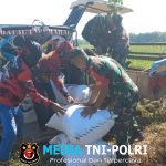 Kodim Boyolali Dukung Program Bulog Melalui Serapan Gabah Petani