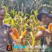 Kapolsek Mandor Apresiasi Panen Perdana Jagung di Mandor Dorong Semangat Ketahanan Pangan