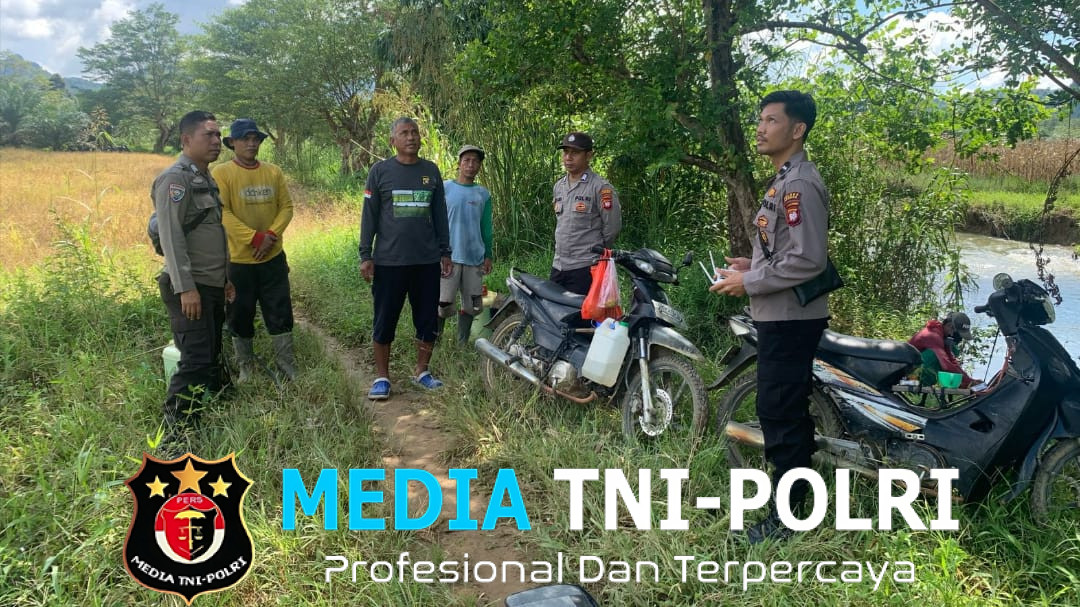 Lahan Monokultur di Desa Tunang dijadikan Sebagai Area Dem­­plot Tanaman Jagung Hibrida Polsek Mempawah Hulu