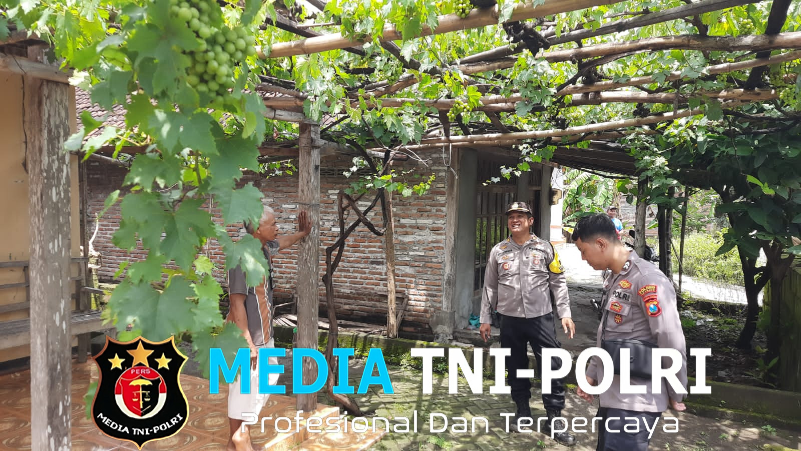 Polsek Patianrowo Dukung Ketahanan Pangan, Pantau Kebun Anggur Warga