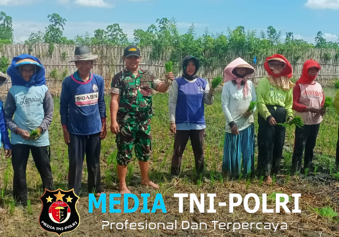 Babinsa Kendalrejo, Koramil 0825-09/ Tegaldlimo, Dampingi Petani dalam Upaya Peningkatan Luas Tambah Tanam