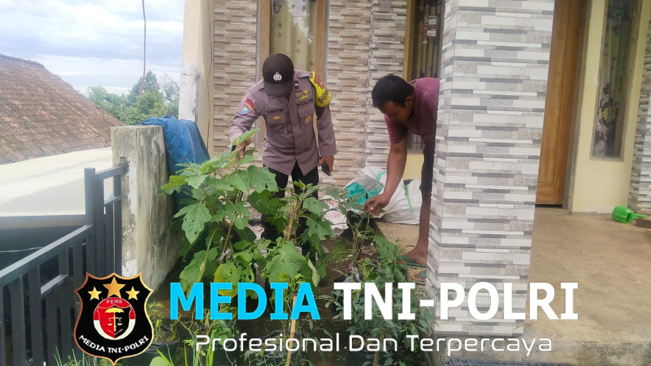 Bhabinkamtibmas Sawahan Dukung Ketahanan Pangan Lewat Pemantauan Tanaman Cabai