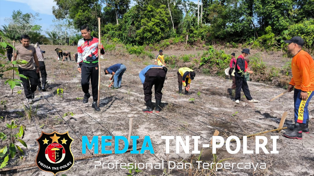 Penanaman Bibit Jagung Hibrida R1 Nusantara Oleh Personil Polsek Ngabang