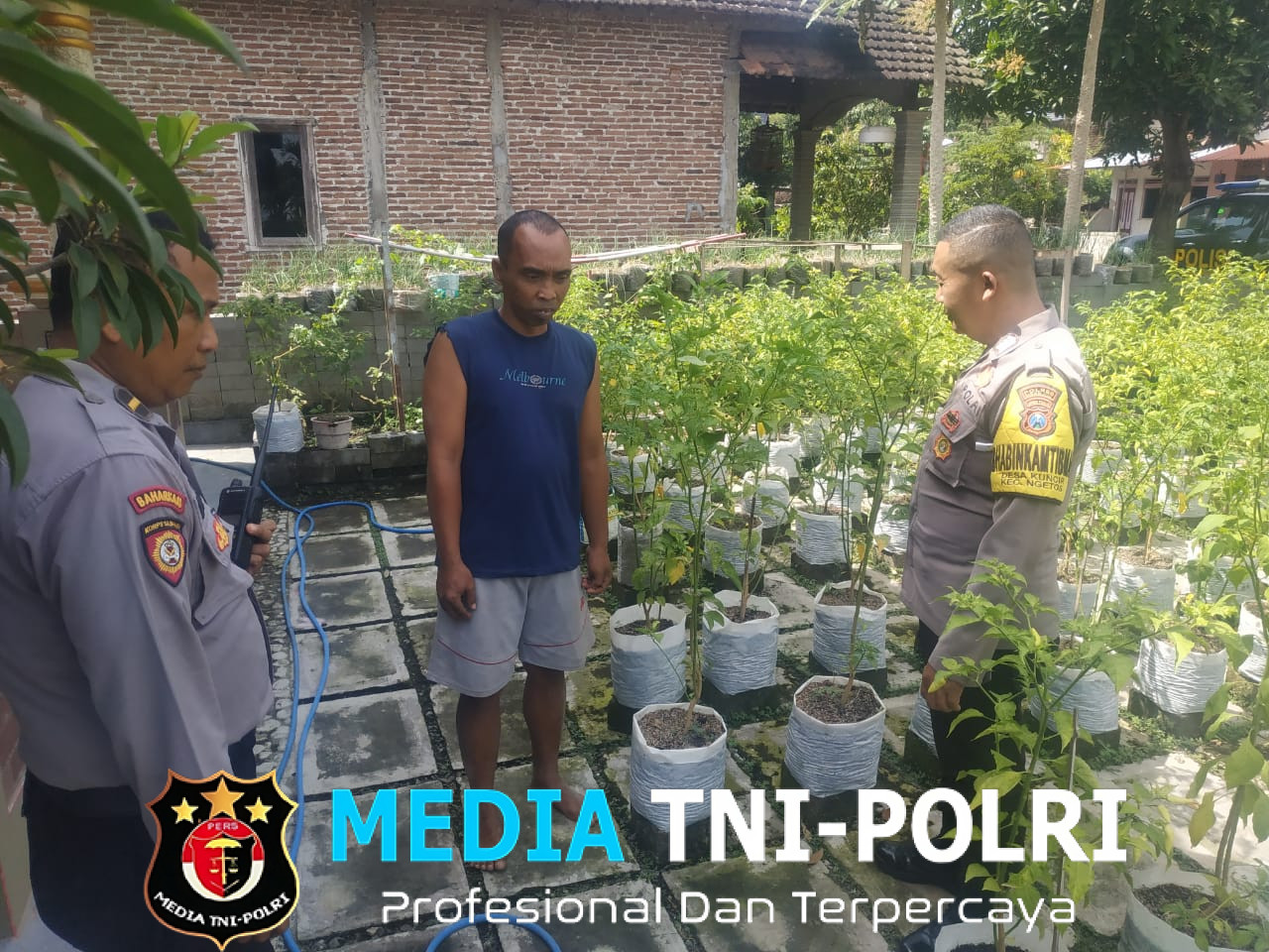 Polsek Ngetos Dukung Ketahanan Pangan, Pantau Pekarangan Sayur Warga