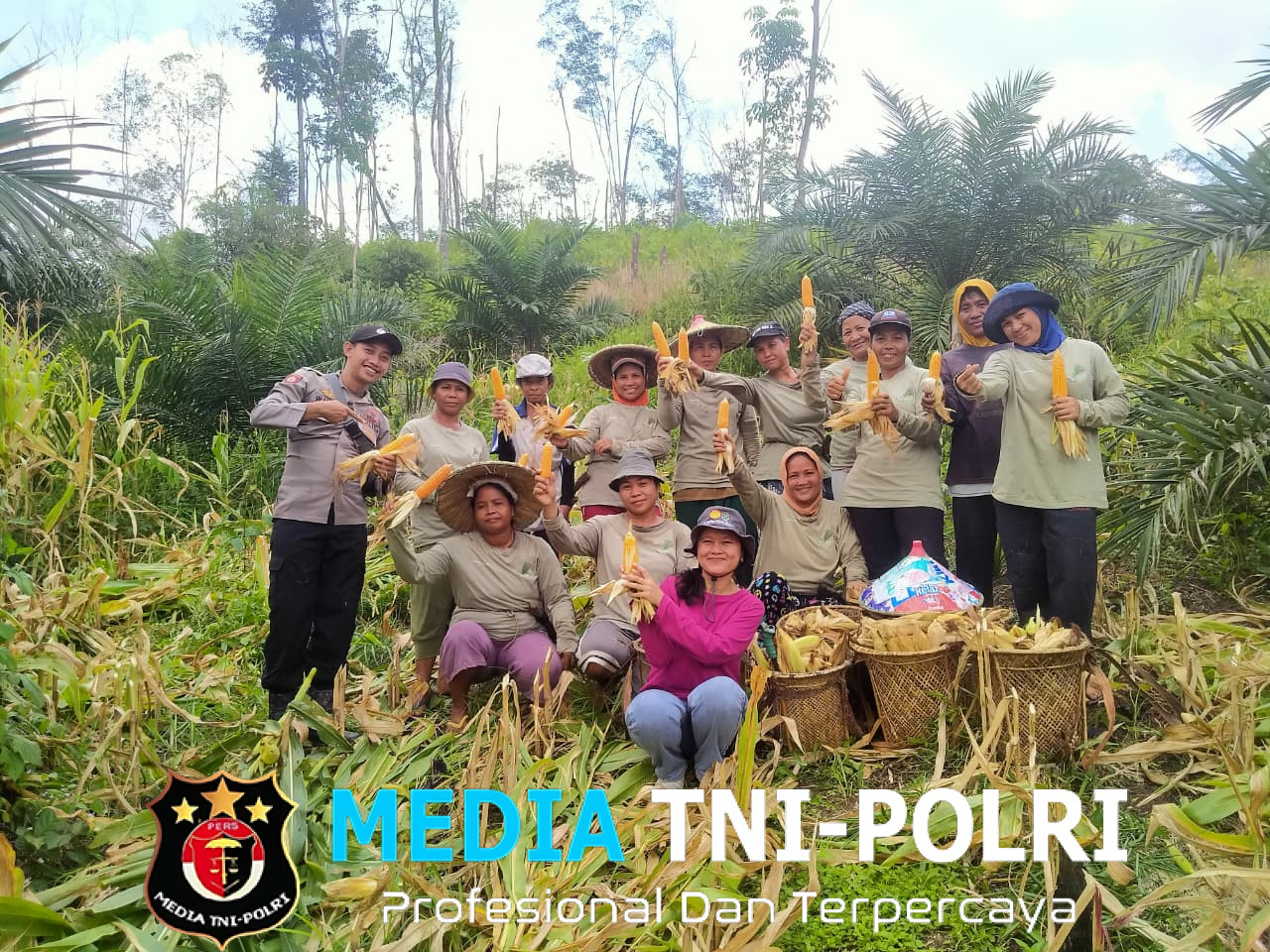 Bintara Penggerak Desa Angan Tembawang Menghadiri Kegiatan Panen Jagung Bersama KWT Anggrek Putih