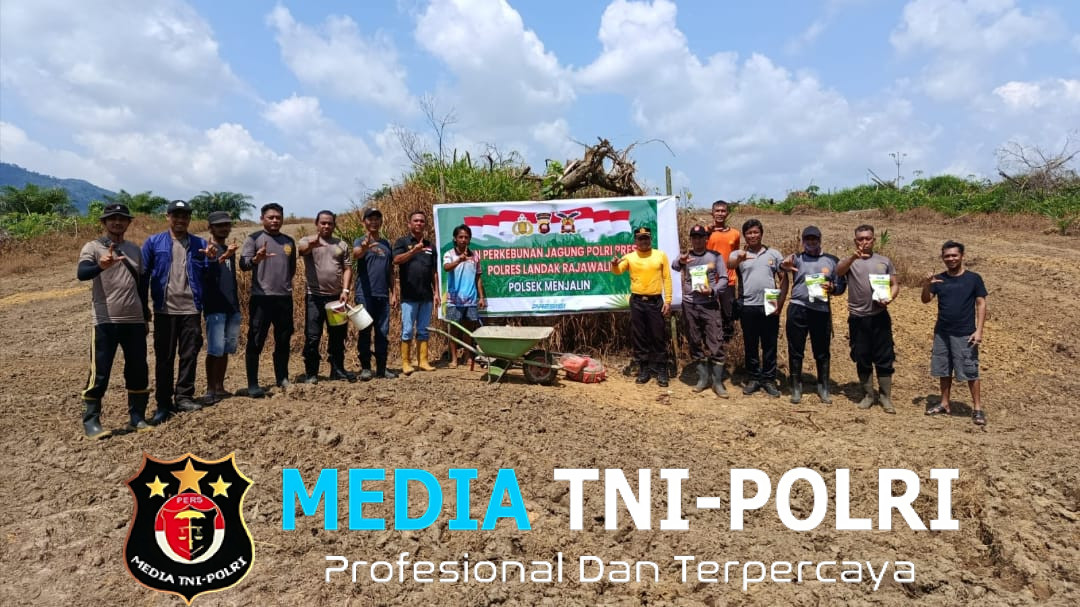 Penanaman Jagung Perdana di Lahan Perkebunan Jagung Polri Presisi Polres Landak Rajawali Polsek Menjalin