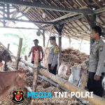 Manfaatkan Pekarangan, Polsek Patianrowo Dorong Ketahanan Pangan Lewat Peternakan Sapi