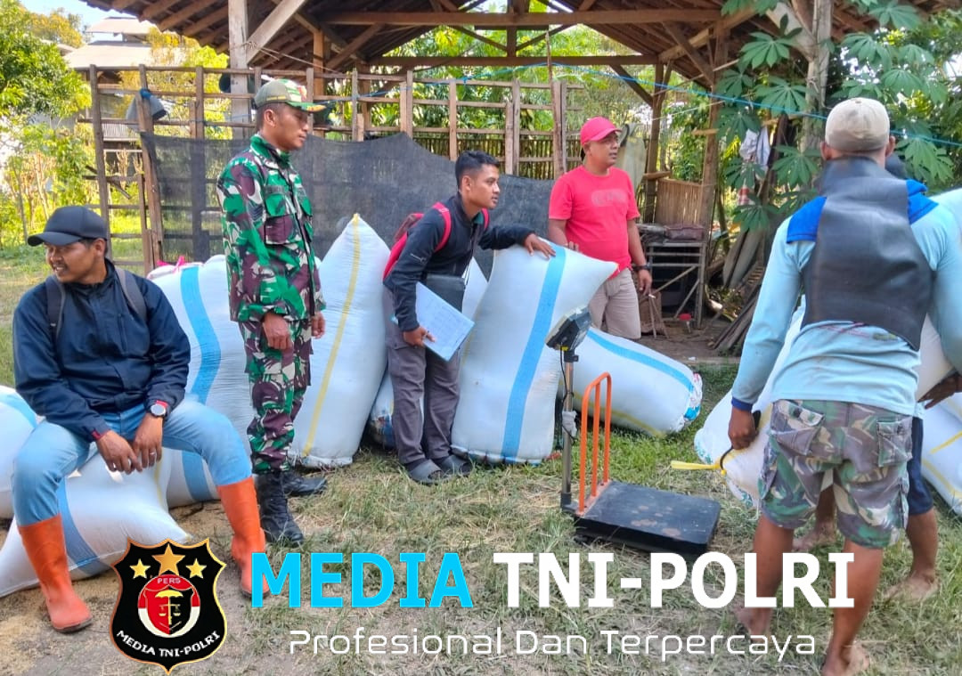 Babinsa Koramil 0825/20 Songgon Kembali Kawal Serapan Gabah Petani di Enam Lokasi