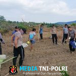 Polsek Menjalin Dukung Ketahanan Pangan Lewat Tanam Jagung