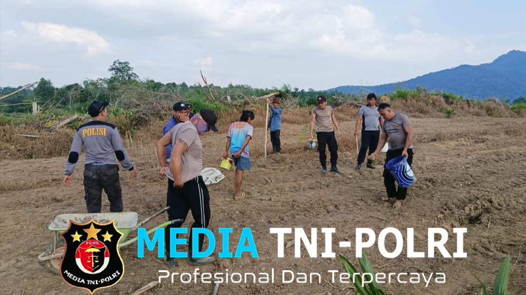 Polsek Menjalin Dukung Ketahanan Pangan Lewat Tanam Jagung