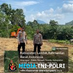 Polsek Sengah Temila Olah Lahan Tidur Jadi Kebun Jagung Percontohan