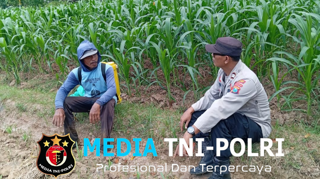 Bhabinkamtibmas Pace Dorong Ketahanan Pangan Lewat Pemanfaatan Pekarangan Warga