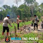 Untuk Mendukung Program Ketahanan Pangan, Kapolsek Kuala Behe dan Anggota Cek Lahan Persiapan Penanaman Jagung
