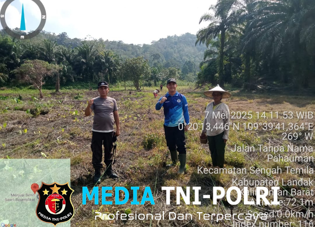 Penanaman Benih Jagung di Lahan Percontohan Polsek Sengah Temila Bersama Masyarakat