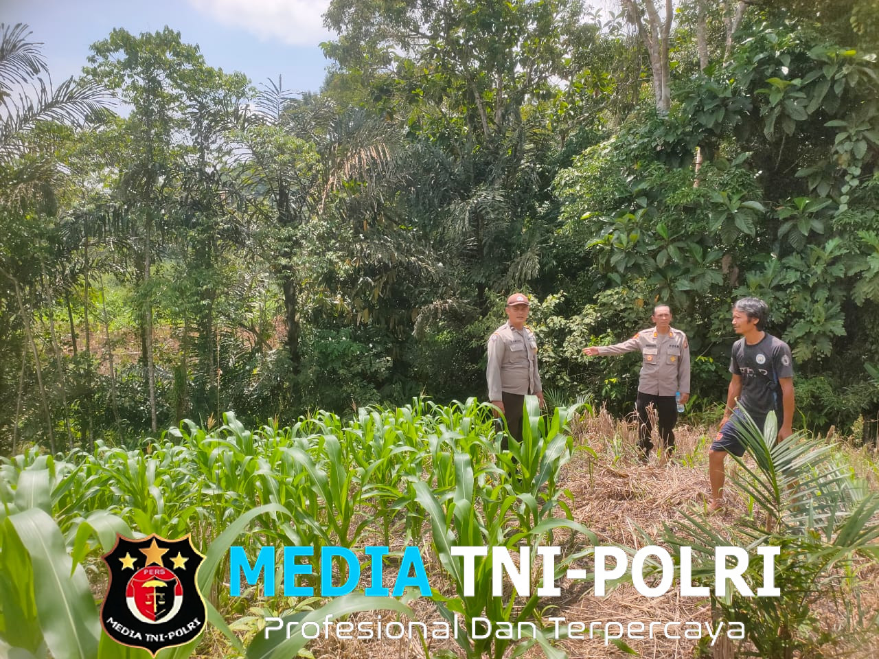 Pamatwil Ketahanan Pangan Polres Landak Survei Kesiapan Lahan Percontohan Polsek Air Besar di Bukit Semirah