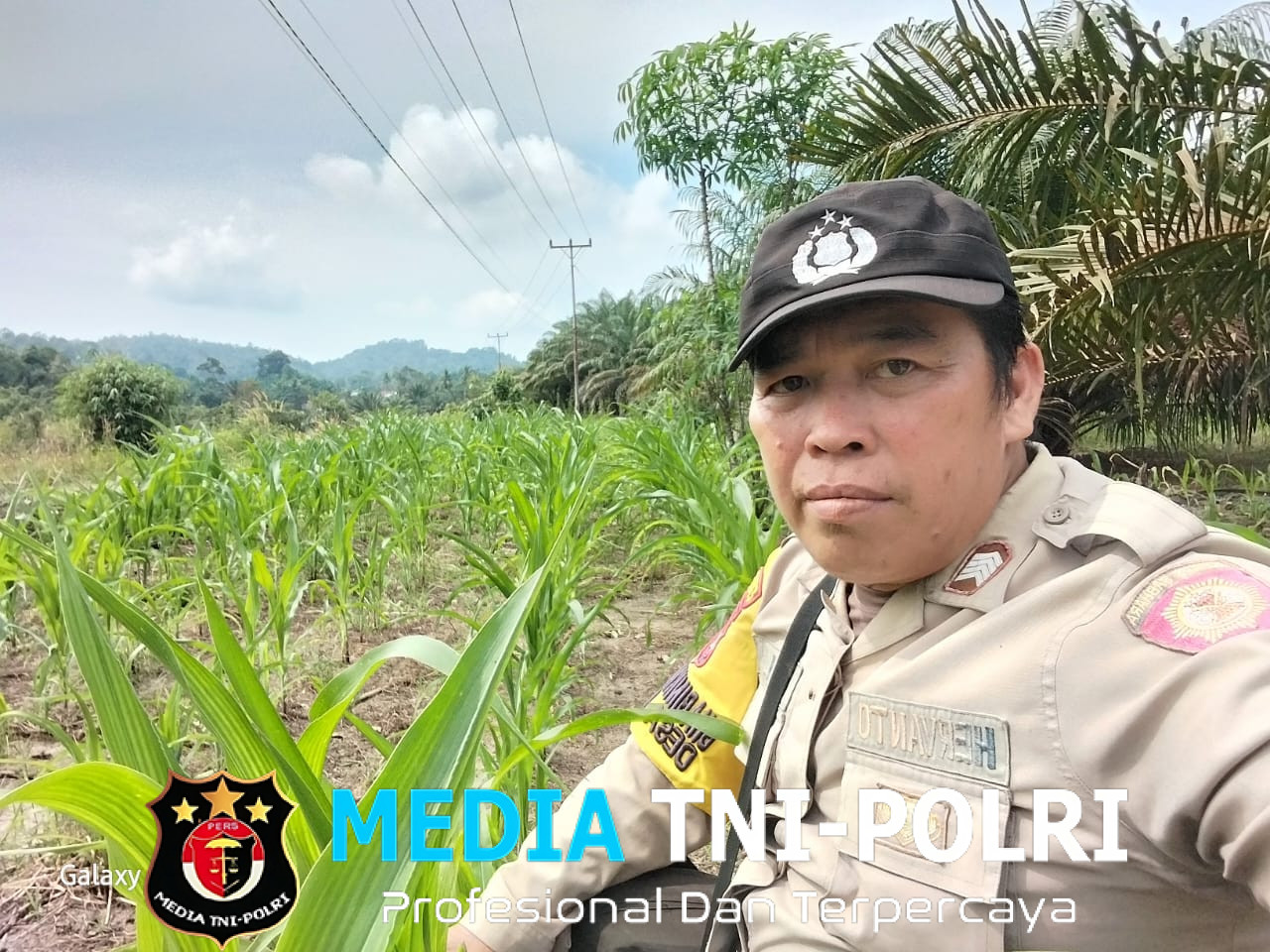 Bhabinkamtibmas Polsek Sebangki Tinjau Perkembangan Tanaman Jagung Bersama Kelompok Tani Lelamok Raya