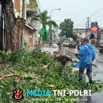 Babinsa Gerak Cepat, Bantu Evakuasi Pohon Tumbang