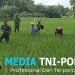Pemupukan Padi oleh Petani di Dampingi Babinsa