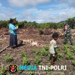 Meningkatkan Sumber Pangan Babinsa Koramil 1705-07/Siriwo Membantu Bersihkan Lahan Kebun Milik Masyarakat