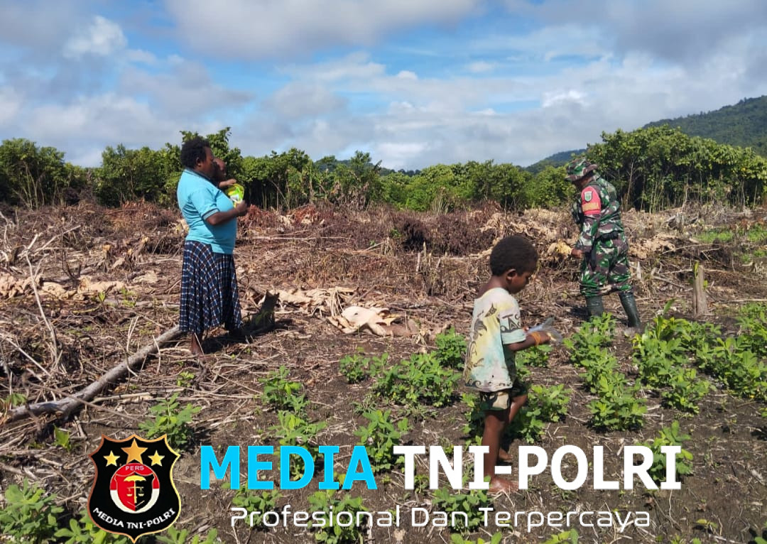 Meningkatkan Sumber Pangan Babinsa Koramil 1705-07/Siriwo Membantu Bersihkan Lahan Kebun Milik Masyarakat
