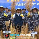 Swasembada Pangan Terus Dicanangkan TNI AL, Kasal Kunjungi Program Ketahanan Pangan di Wilayah Banten