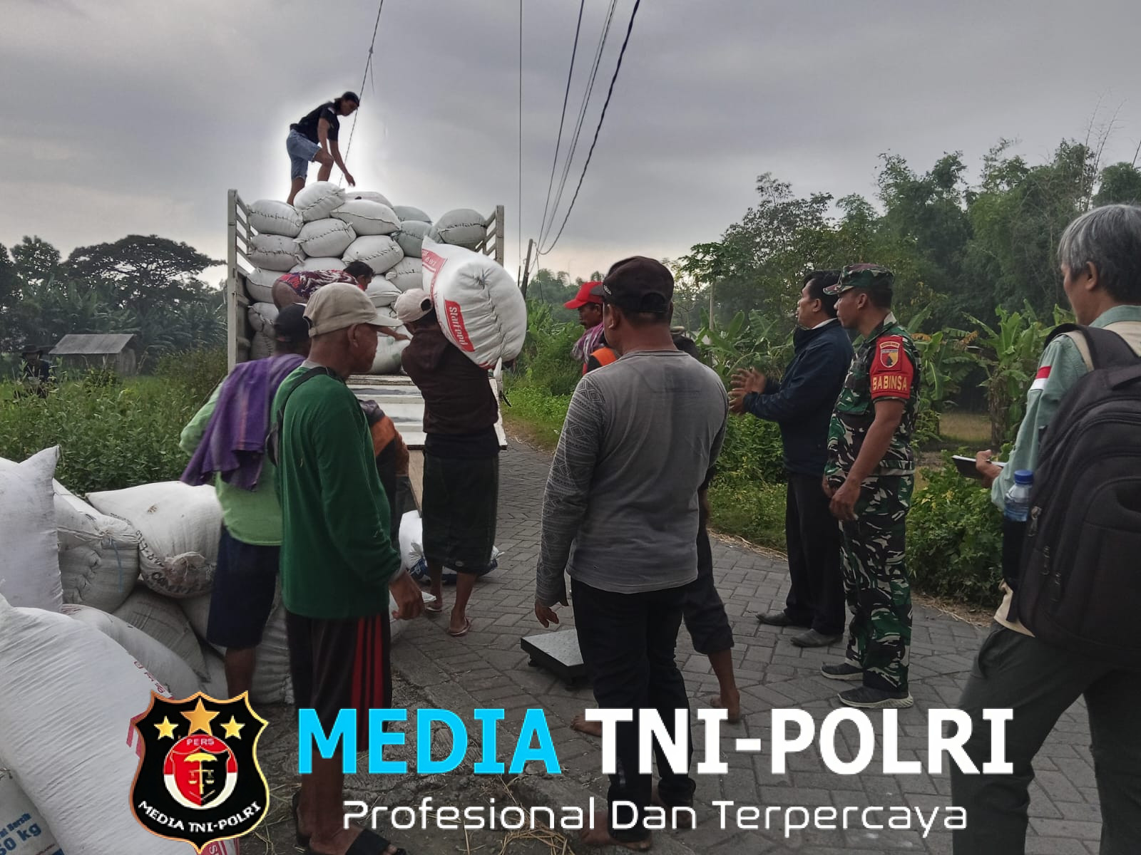 Babinsa Ramil 0819-03/Kraton Dampingi Petani dalam Serap Gabah di Desa Bendungan