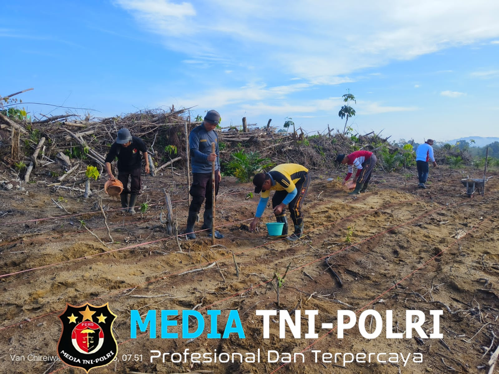 Polsek Mandor Lanjutkan Penanaman Jagung di Lahan Percontohan untuk Dukung Swasembada Pangan