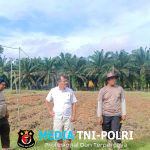 Polsek Mukok Galakkan Ketahanan Pangan, Buka Lahan dan Produksi Pupuk untuk Penanaman Jagung Hibrida