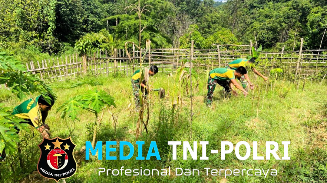 Satgas Pamtas Yonarmed 11 Kostrad Olah Kembali Lahan Tidak Produktif di Perbatasan