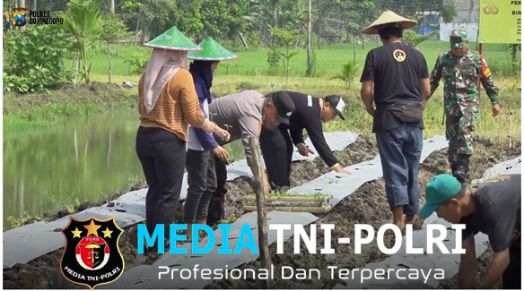 TNI-Polri Bersama Pemdes Pungpungan Kolaborasi Tanami Lahan Kosong untuk Ketahanan Pangan Berkelanjutan