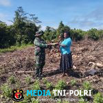 Mendukung Swasembada Pangan Babinsa Siriwo Bantu Merawat Tanaman Warga Binaannya