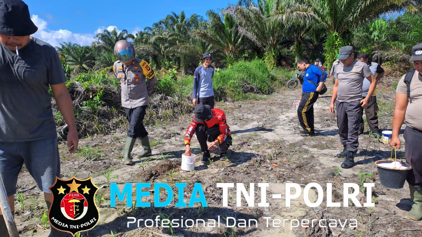 Pemupukan Tahap Pertama Jagung PRESISI Polres Landak RAJAWALI Polsek Ngabang